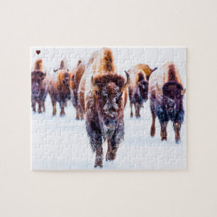 Bizon Yellowstone Wyoming Legpuzzel