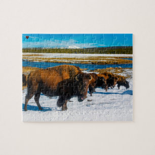 Bizon Yellowstone Wyoming Legpuzzel