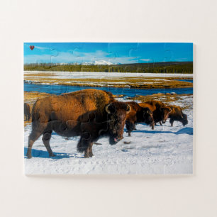 Bizon Yellowstone Wyoming Legpuzzel