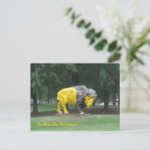 bizonbeeld briefkaart (Staand voorkant)