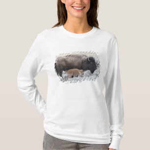 Bizonkoe en kalf, Yellowstone T-shirt