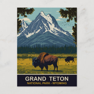Bizons, Grand Teton Natural Park, Wyoming, Reizen Briefkaart