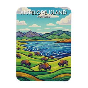 Bizons in Antelope Island State Park Utah Magneet
