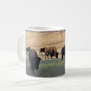 Bizons in Colorado Koffiemok