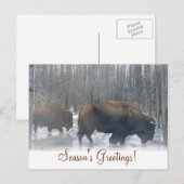Bizons in de Sneeuw Seizoensgroeten Ansichtkaart Feestdagenkaart (Voorkant / Achterkant)