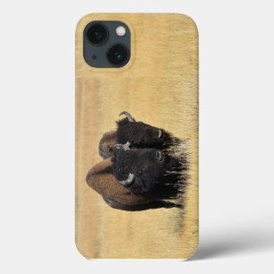 Bizons in Nationaal Park Yellowstone iPhone 13 Hoesje