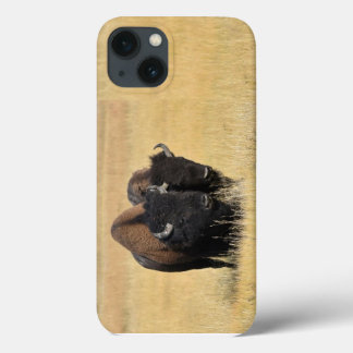 Bizons in Nationaal Park Yellowstone iPhone 13 Hoesje