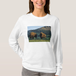 Bizons in Waterton Lakes National Park T-shirt