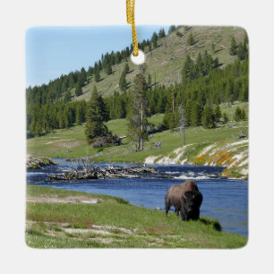 Bizons in Yellowstone National Park Keramisch Ornament