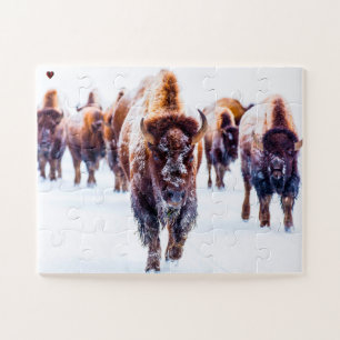 Bizons Yellowstone Wyoming Legpuzzel