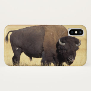 Bizonstier in Yellowstone National iPhone X Hoesje