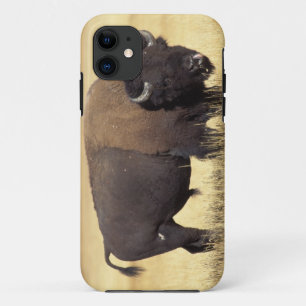 Bizonstier in Yellowstone National iPhone 11 Hoesje