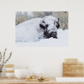 Bizonstier, winterjas poster (Keuken)