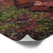 Bizzare Bryce Canyon Poster (Hoek)