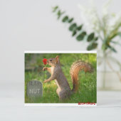 BizzareWorld Mourning Squirrel Post Cards Briefkaart (Staand voorkant)