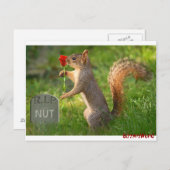 BizzareWorld Mourning Squirrel Post Cards Briefkaart (Voorkant / Achterkant)