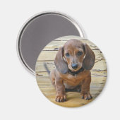 BK - Magnet de marionnettes Dachsund (Recto/Verso)