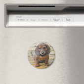 BK - Magnet de marionnettes Dachsund (In Situ (Lave-vaisselle))