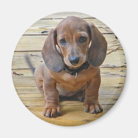 BK - Magnet de marionnettes Dachsund (Devant)