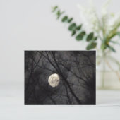 BL - Carte postale Lune et Arbres Nature (Debout devant)