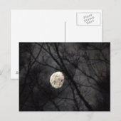 BL - Carte postale Lune et Arbres Nature (Devant / Derrière)