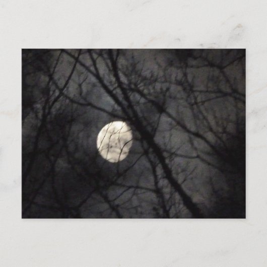 BL - Carte postale Lune et Arbres Nature (Devant)
