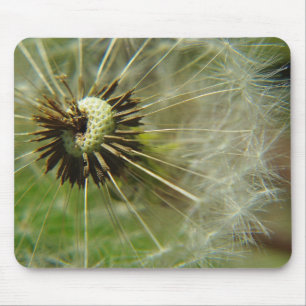 blaasbalmousepad muismat