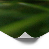 blaasstip poster (Hoek)