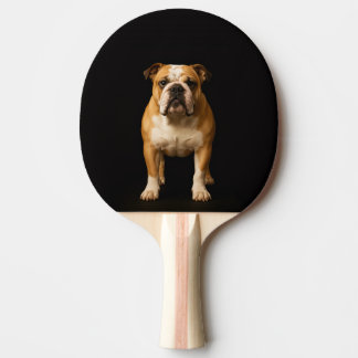 Black 4 Luxe ping pong paddle, Stamina Bulldog Tafeltennisbatje