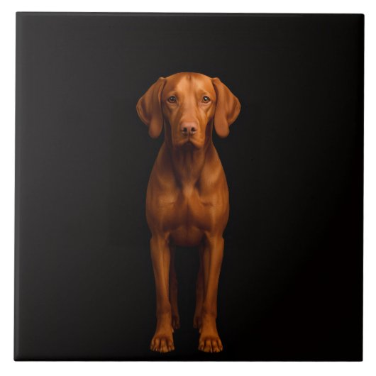 Black 4 Luxe Tile with Agile Vizsla Dog Tegeltje (Voorkant)