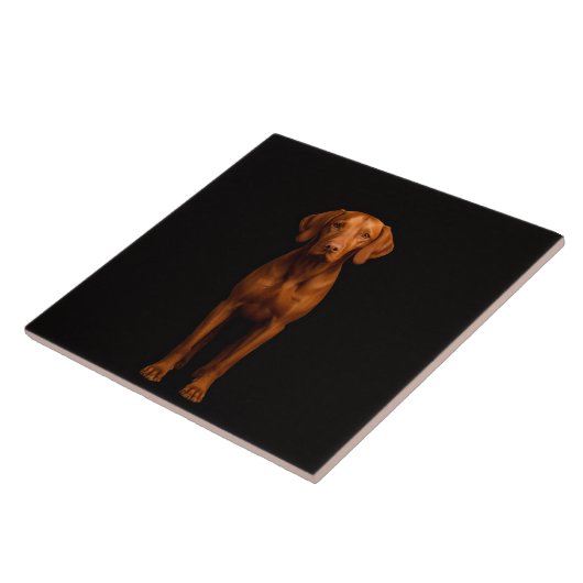 Black 4 Luxe Tile with Agile Vizsla Dog Tegeltje (Zijkant)