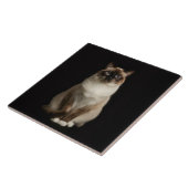 Black 4 Luxe Tile with Birmanese Cat Tegeltje (Zijkant)