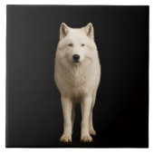 Black 4 Luxe Tile with Ivory Arctic Wolf Tegeltje (Voorkant)