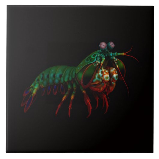 Black 4 Luxe Tile with Mantis Shrimp Tegeltje (Voorkant)