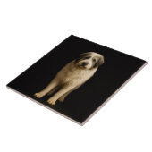 Black 4 Luxe Tile with Mioritic Shepherd Tegeltje (Zijkant)