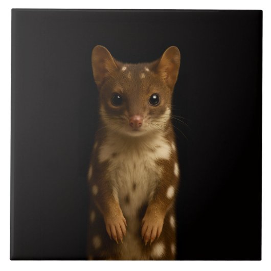 Black 4 Luxe Tile with Sweet Quoll Tegeltje (Voorkant)