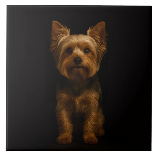 Black 4 Luxe Tile with Yorkshire Terrier Tegeltje (Voorkant)