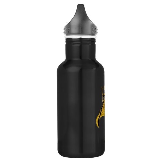 Black Adam | Doctor Fate Character Graphic Waterfles (Links)