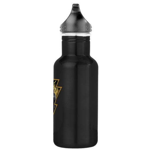 Black Adam Gray and Gold Lightning Graphic Waterfles (Rechts)