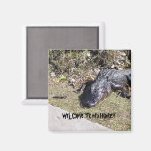 Black Alligator verwelkomt u in zijn huis Magneet (Voorkant / Achterkant)