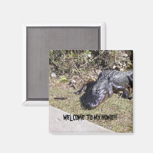 Black Alligator verwelkomt u in zijn huis Magneet (Voorkant / Achterkant)