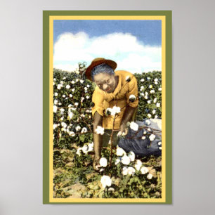 Black America Cotton Field Woman Poster