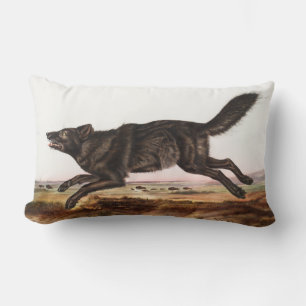 Black American Wolf (Canis lupus) Illustratie Kussen
