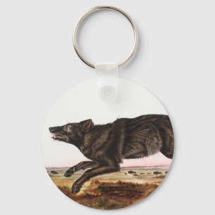Black American Wolf (Canis lupus) Illustratie Sleutelhanger