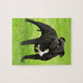 Black Amstaff Legpuzzel (Horizontaal)