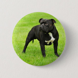 Black Amstaff Ronde Button 5,7 Cm