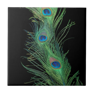 Black and Green Peacock Feathers Tile Tegeltje