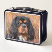Black and Tan Cavalier King Charles Spaniel Dog (Voorkant)