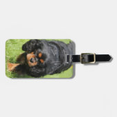 Black and Tan Cavalier King Charles Spaniel Dog Bagagelabel (Voorkant horizontaal)