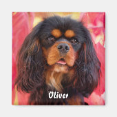 Black and Tan Cavalier King Charles Spaniel Dog Magneet (Voorkant)